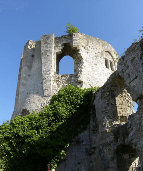 <p>Site internet</p>