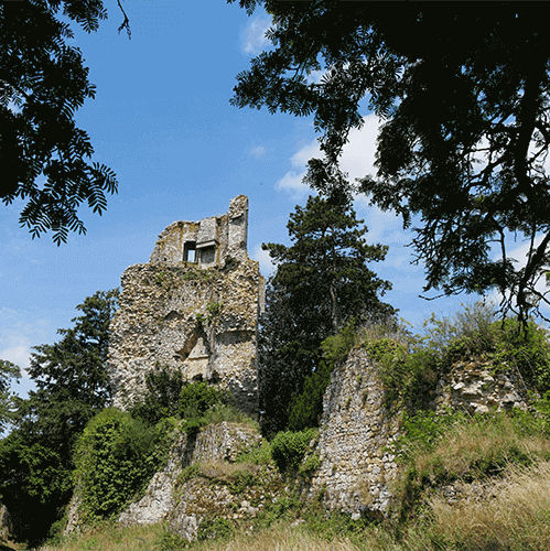 <p>Mus&eacute;ographie - Site du ch&acirc;teau</p>