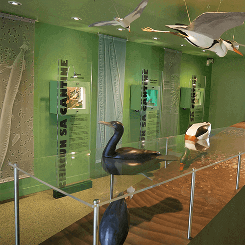 <p>R&eacute;am&eacute;nagement de la Maison de la Nature et de l&#39;Estuaire</p>