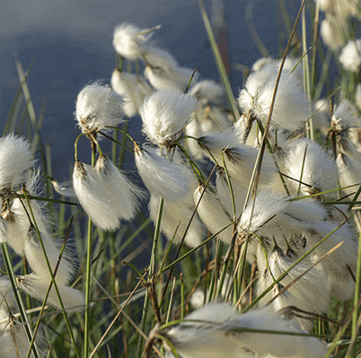 <p>Sentier d&#39;interpr&eacute;tation</p>